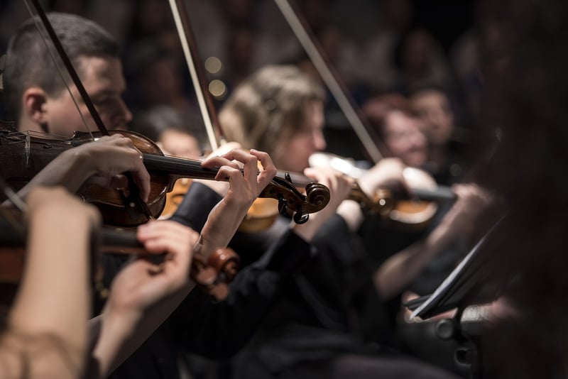 Floral Symphony