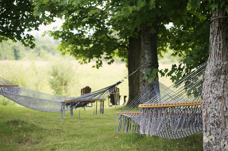 Hanging Hammocks